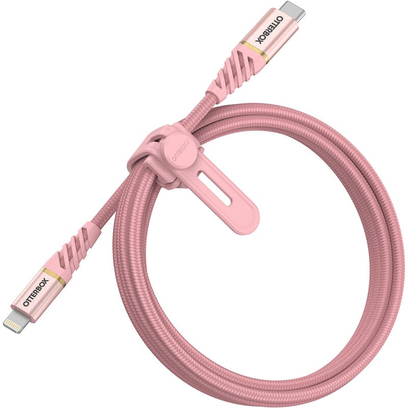 product image 1 - Lightning a USB-C Cabo Ricarica Veloce Cavo | Premio