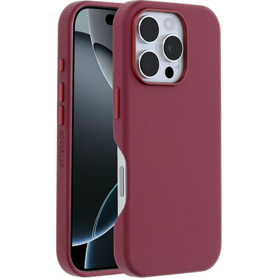 iPhone 16 Pro Custodia | Symmetry Series Cactus Leather per MagSafe